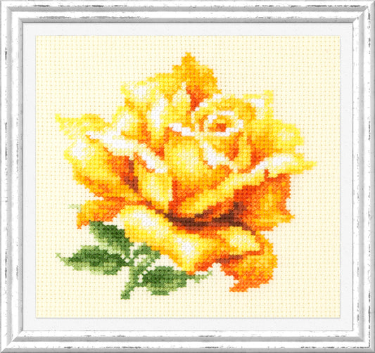 Yellow Rose