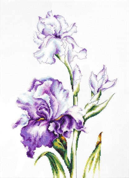 Irises