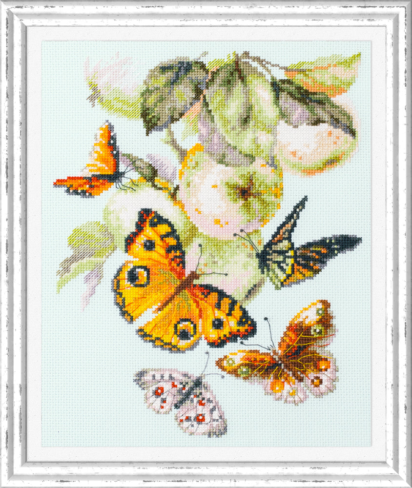 Butterflies and Apples